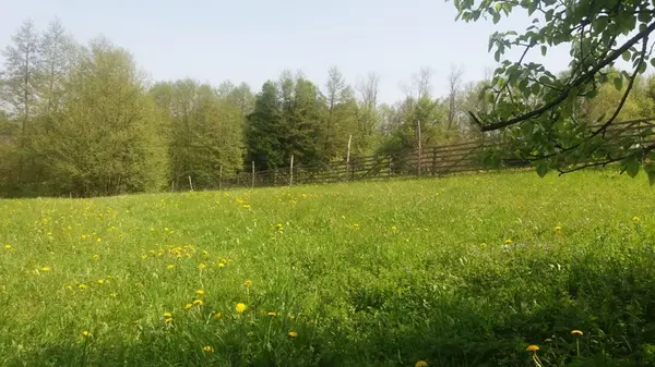 Vand casa in Vicovu de Jos cu 1,5 ha teren, pret negociabil