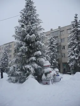 Revelion 2019 in Bucovina